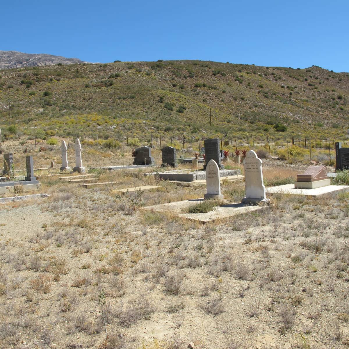 3. Overview inside the cemetery