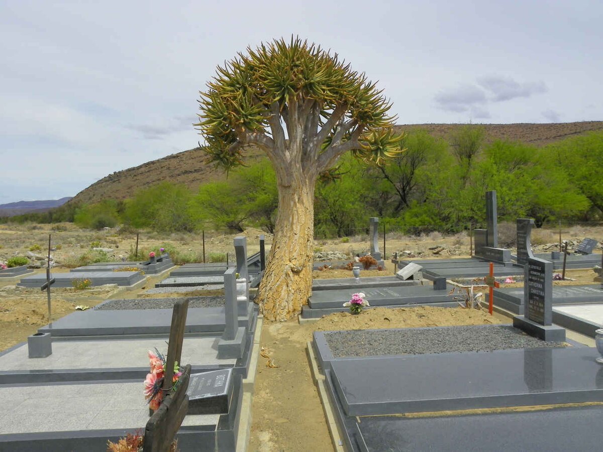 4. Overview / Oorsig