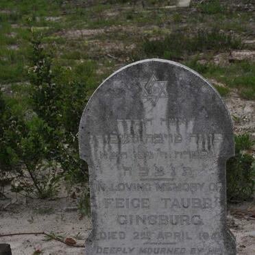 GINSBURG Feige Taube -1941