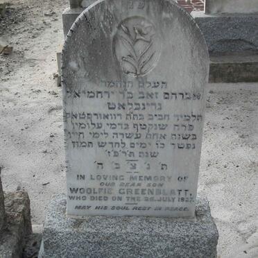 GREENBLATT Woolfie -1927