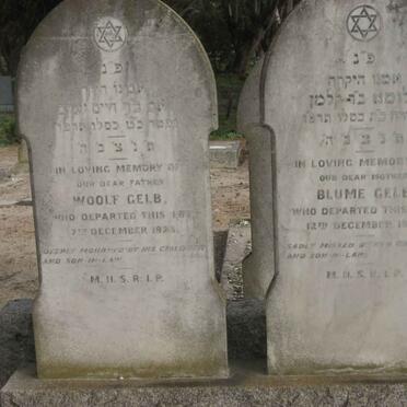 GELB Woolf -1923 :: GELB Blume -1925