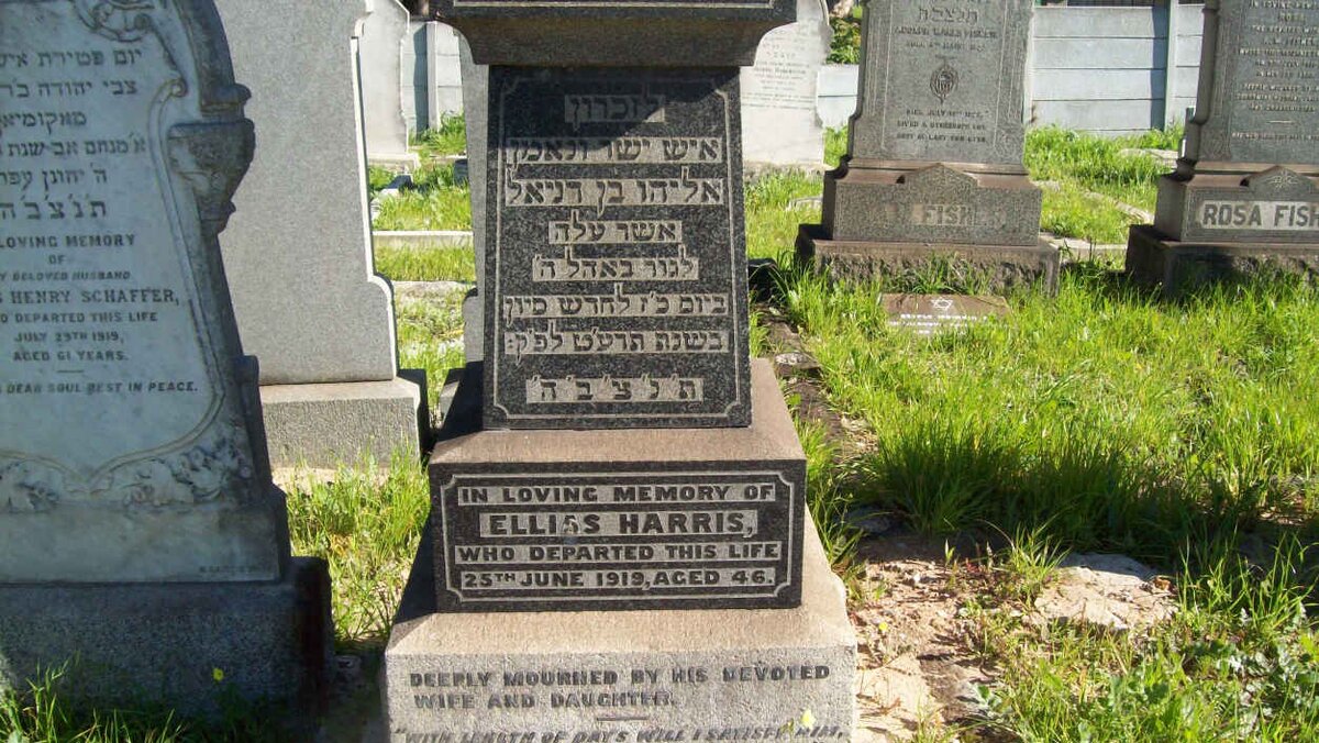 HARRIS Elliss  -1919 