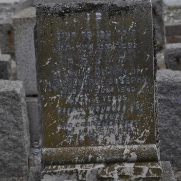 JOSEPHY Hans George -1940