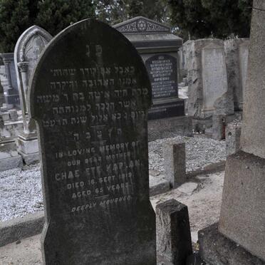 KAPLAN Chae Ete -1919