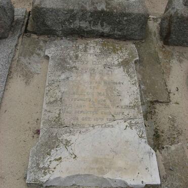 MARCUS Hamilton -1918