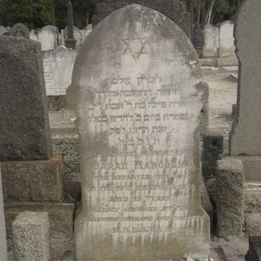 MARGOLIS Sarah -193?