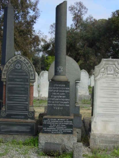 SHAPIRO Lottie nee DIAMOND