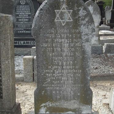 SHIRKEN Chaim Eliezer -1919