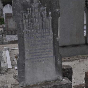 WEINSTEIN Fanny -1956