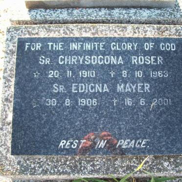 7. Religious Sisters from various Congregations