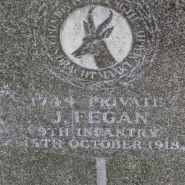 FEGAN J. -1918