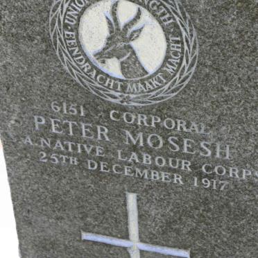 MOSESH Peter -1917