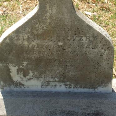 McGILLIVRAY Peter -1901