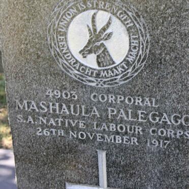 PALEGAGO Mashaula -1917