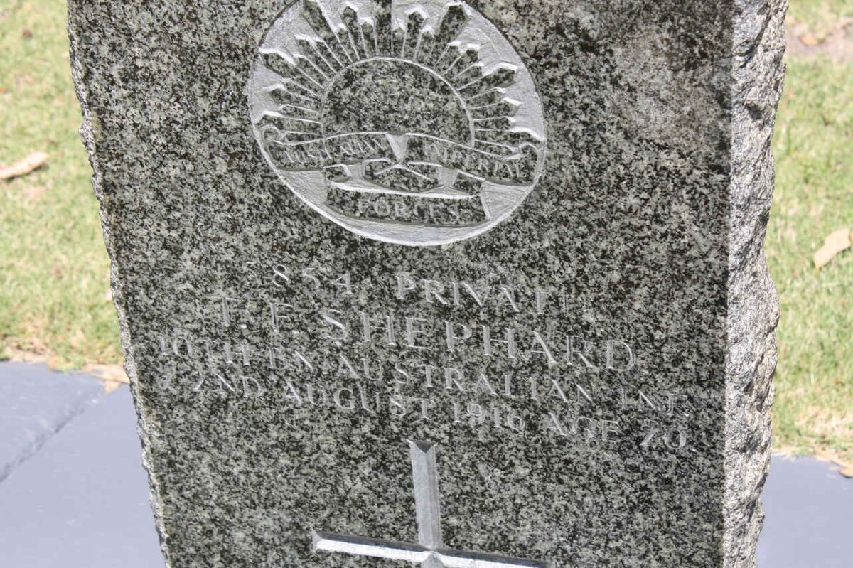 SHEPHARD T?.F. -1916