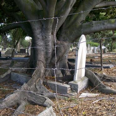 01. Overview pictures of Maitland