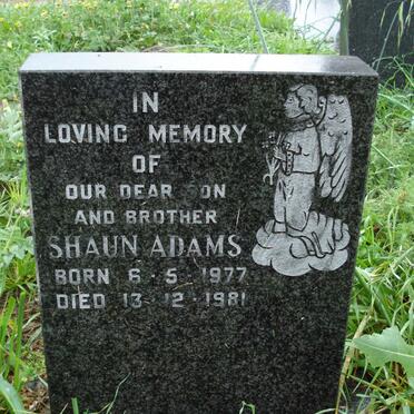 ADAMS Shaun 1977-1981