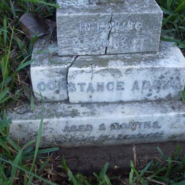 ADAMS Constance