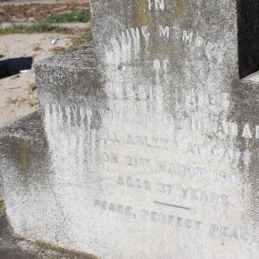 ADAMSON Jessie nee INNES -1901