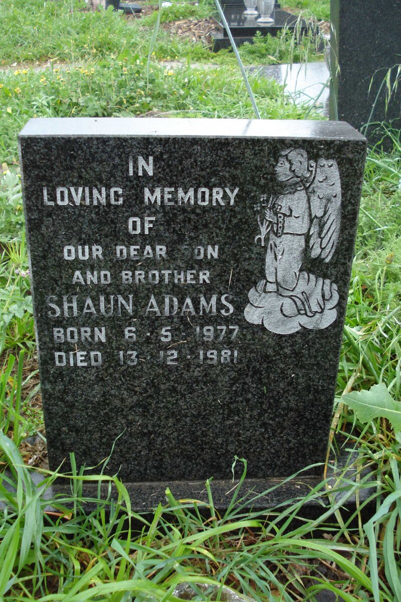 ADAMS Shaun 1977-1981