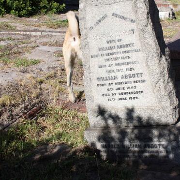 ABBOTT William 1843-1929 &amp; Helena 1843-1921 :: ABBOTT Harold William 1872-1933 