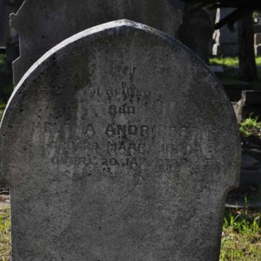 ANDRIESSEN Helena 1840-1923