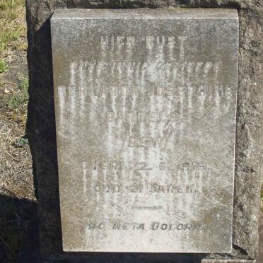 BARTELS Bernarda Josephine -1919