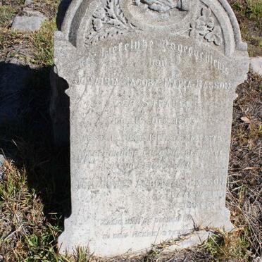 BASSON Johanna Jacoba Maria nee STRAUSS 1863-1917