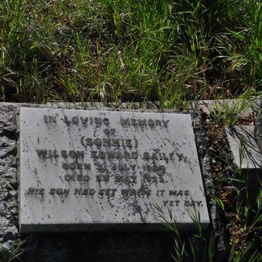 BAILEY Wilson Edward 1904-1922