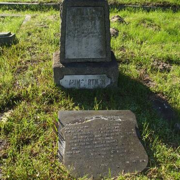 BAUMGARTEN Vebena ??-1919