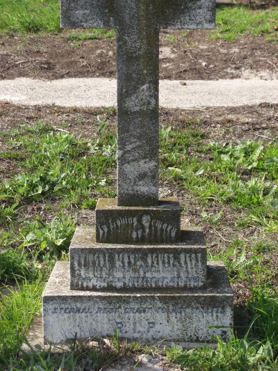 BEST Bridget Mary Agnes -1909