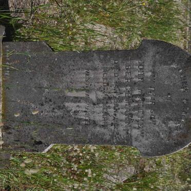 BERGEMANN John Matthew -1927