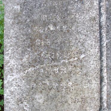 BESTER Jacobus Johannes Petrus 1921-1965 :: BESTER Mother -1965