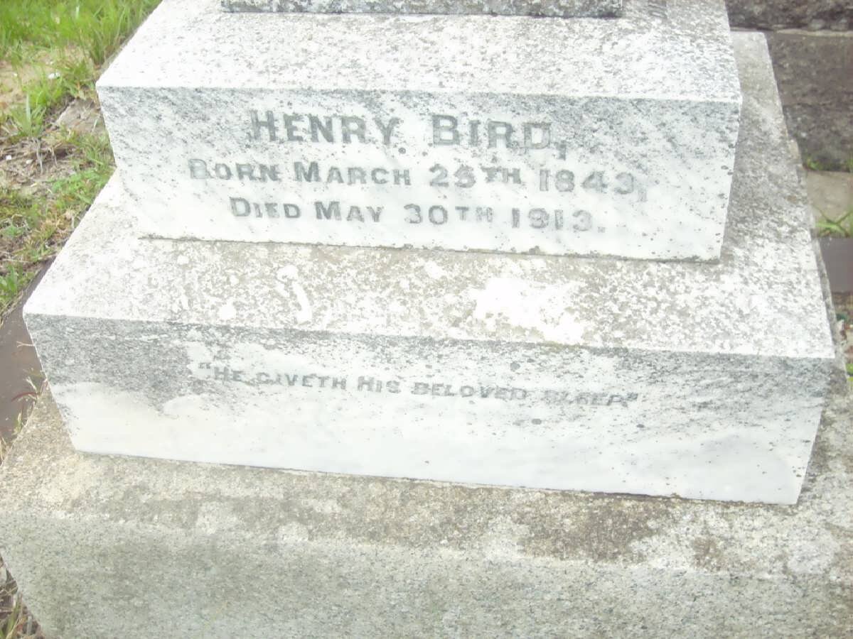 BIRD Henry 1843-1913