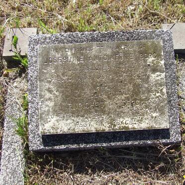 BORG Josephine Antoinette -1967 :: BORG Enrichetta -1969