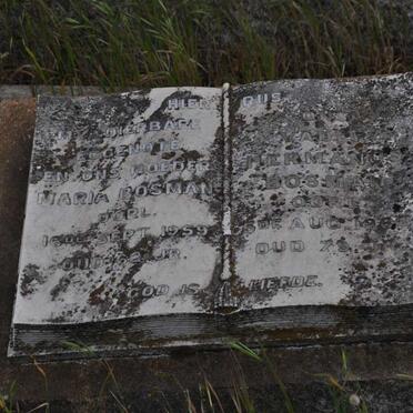 BOSMAN Hermanus -1968 &amp; Maria -1959