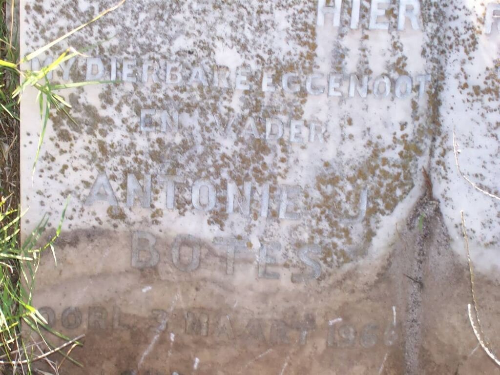 BOTES Antonie J. -1956