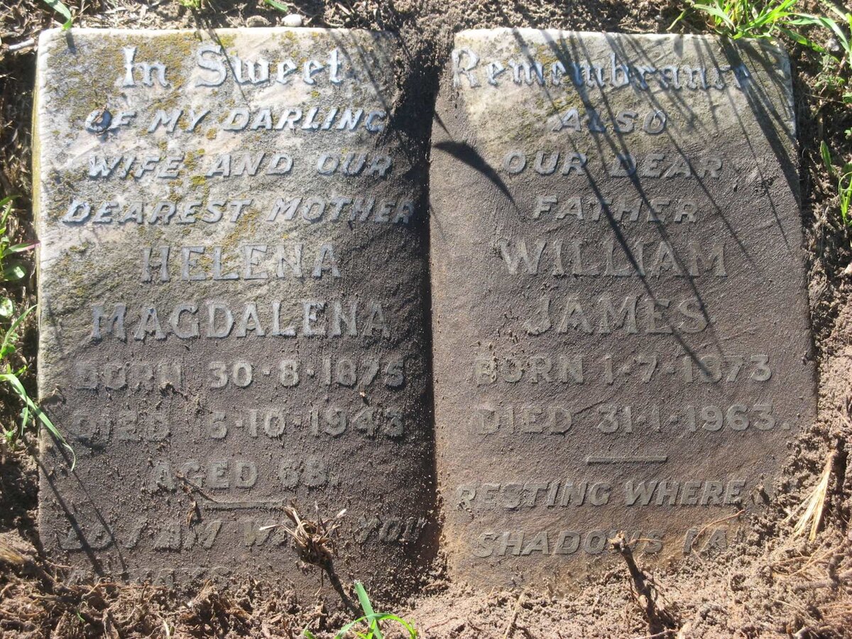 BOLTMAN William James 1873-1963 &amp; Helena Magdalena 1875-1943