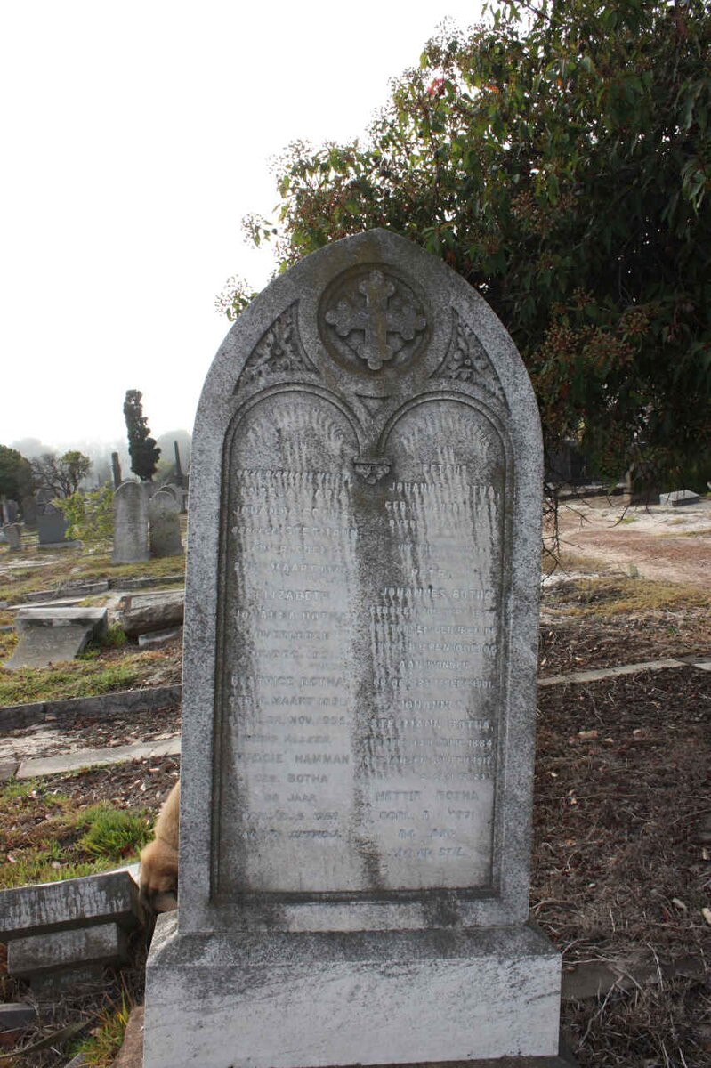 BOTHA :: STEGMANN :: HAMMAN