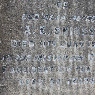 BRIGGS A.E. -1919 :: BRIGGS Cyril -1932