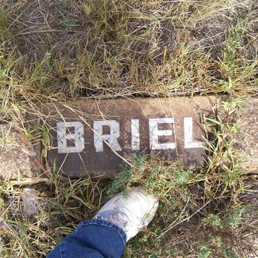BRIEL