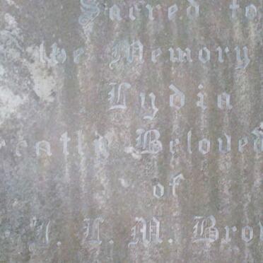 BROWN L.I.M. &amp; Lydia