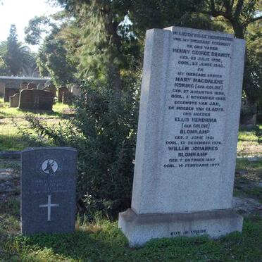 BRANDT :: KONING :: GOLDIE :: BLOMKAMP 