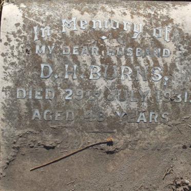 BURNS D.H. -1931