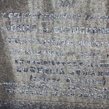 BLANCKENBERG Josias J. -1940 &amp; Cornelia Johanna BASSON 1876-1964 :: BLANCKENBERG Wilhelm J.F. 1912-1951