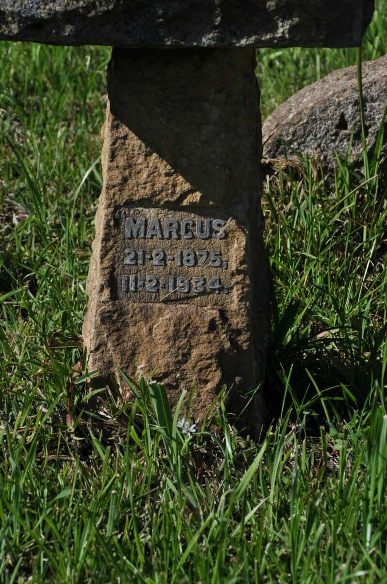 COSTER Marcus 1875-1934