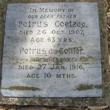 COETZEE Petrus -1907 :: DU CELLER  Petrus -1916