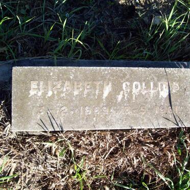 COLLINS Elizabeth 1889-1961
