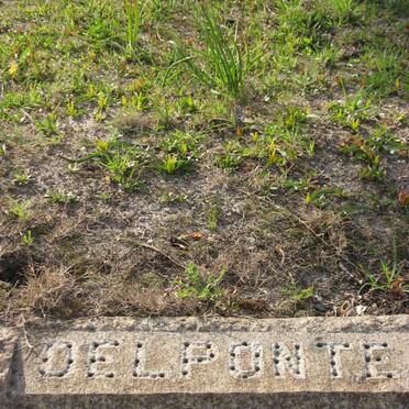 DELPONTE
