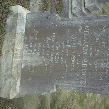 DITCHFIELD James Carling -1914 &amp; Maria -1953 :: DITCHFIELD William Arthur -1910 :: DITCHFIELD James -1915